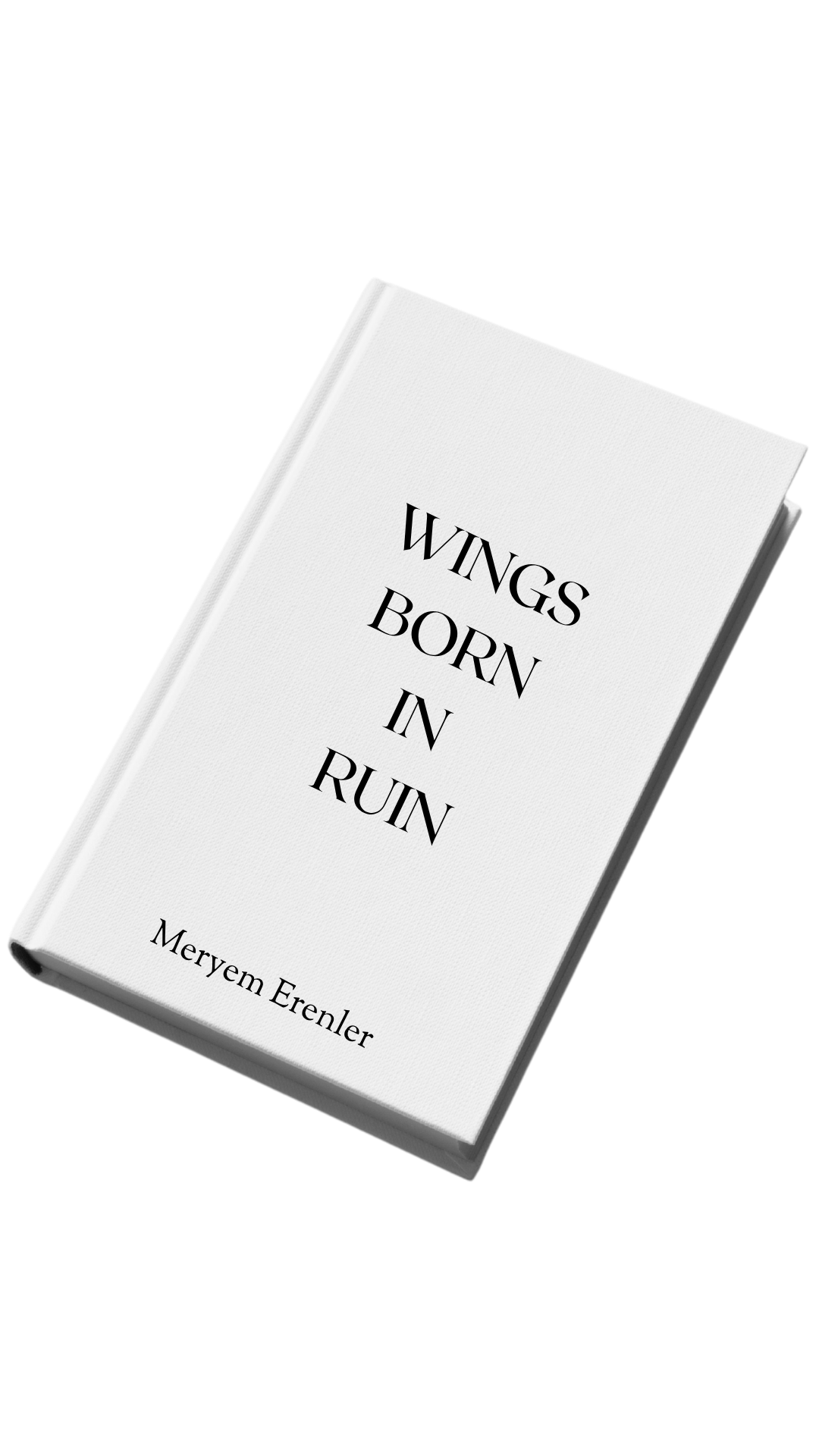 Wings Born In Ruin book cover